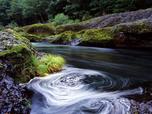 "Swirling Eddy, Clackamas River, Oregon"