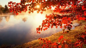 Red Autumn Lake